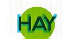 HAYのモダンなロゴ