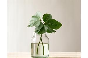 ミニマリストな花瓶に生けられた生き生きとした観葉植物